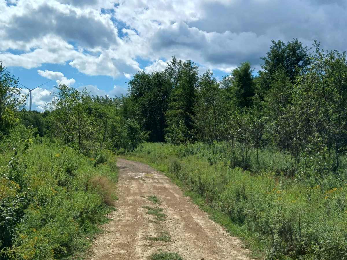 Rhino Loop - Rock Run Recreation Area photo 4