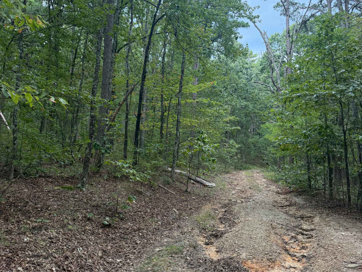 Maumelle photo 5