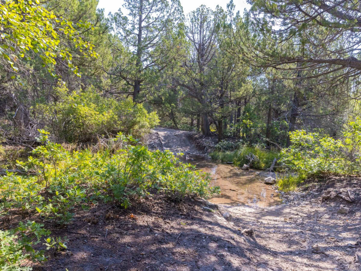 Birch Creek Trail photo 4