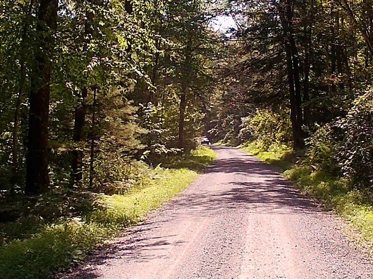 Stover Gap Road photo 2
