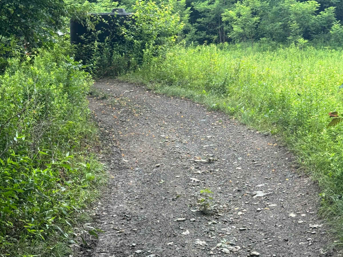 Trail 84 photo 3