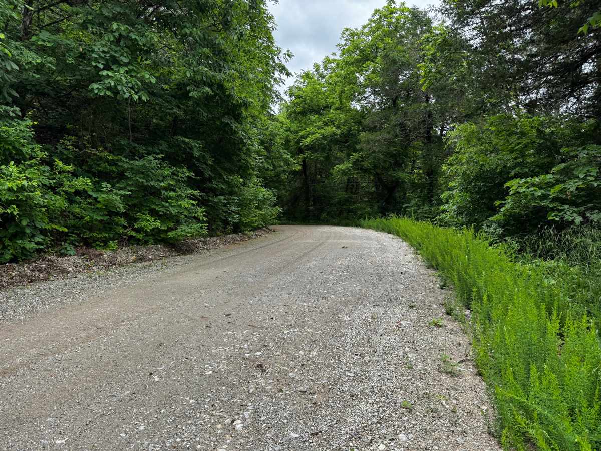 North Mill Creek photo 5