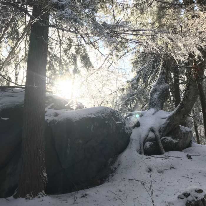 Near Sanderson Academy Trail