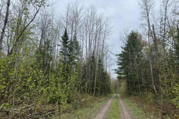 East Sunrise Road - FS 2683