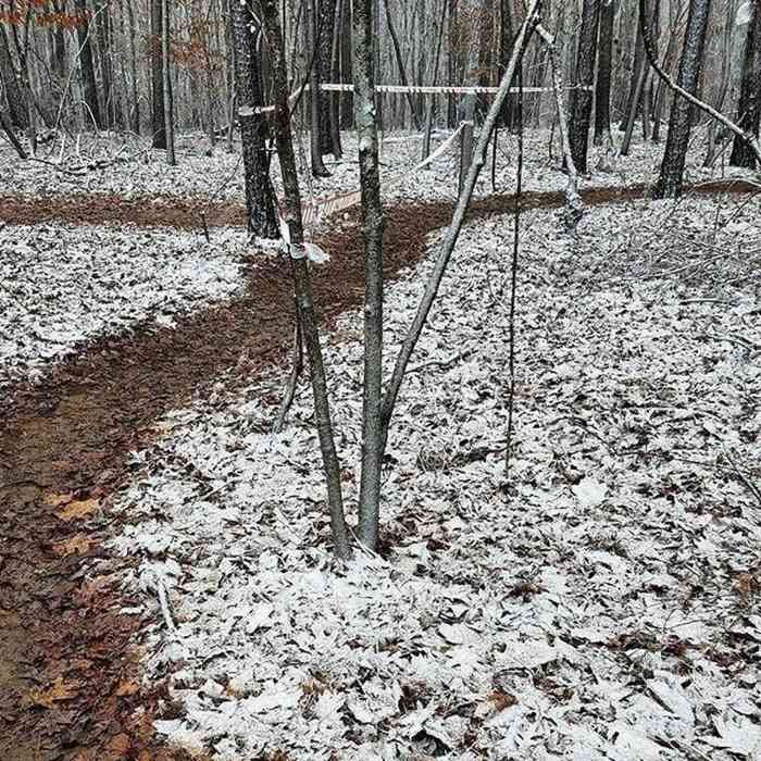 Near Harbison Long Loop