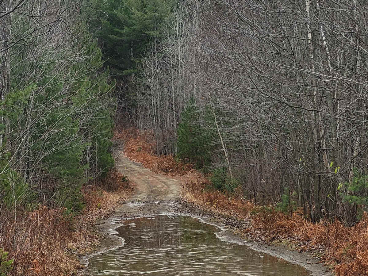 Lac des Pins Rouge photo 4