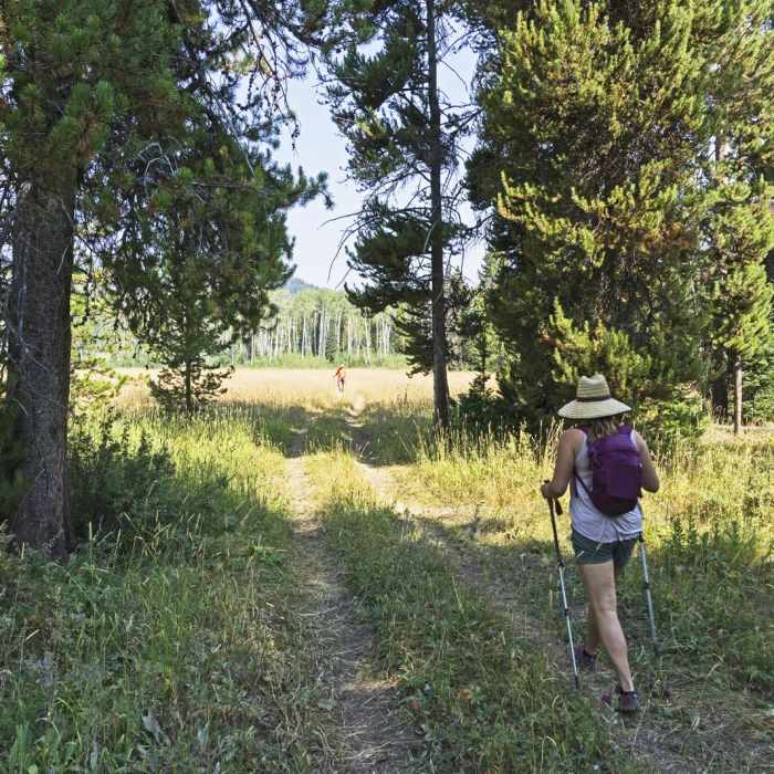 Near Arizona Creek Trail to Bailey Meadows