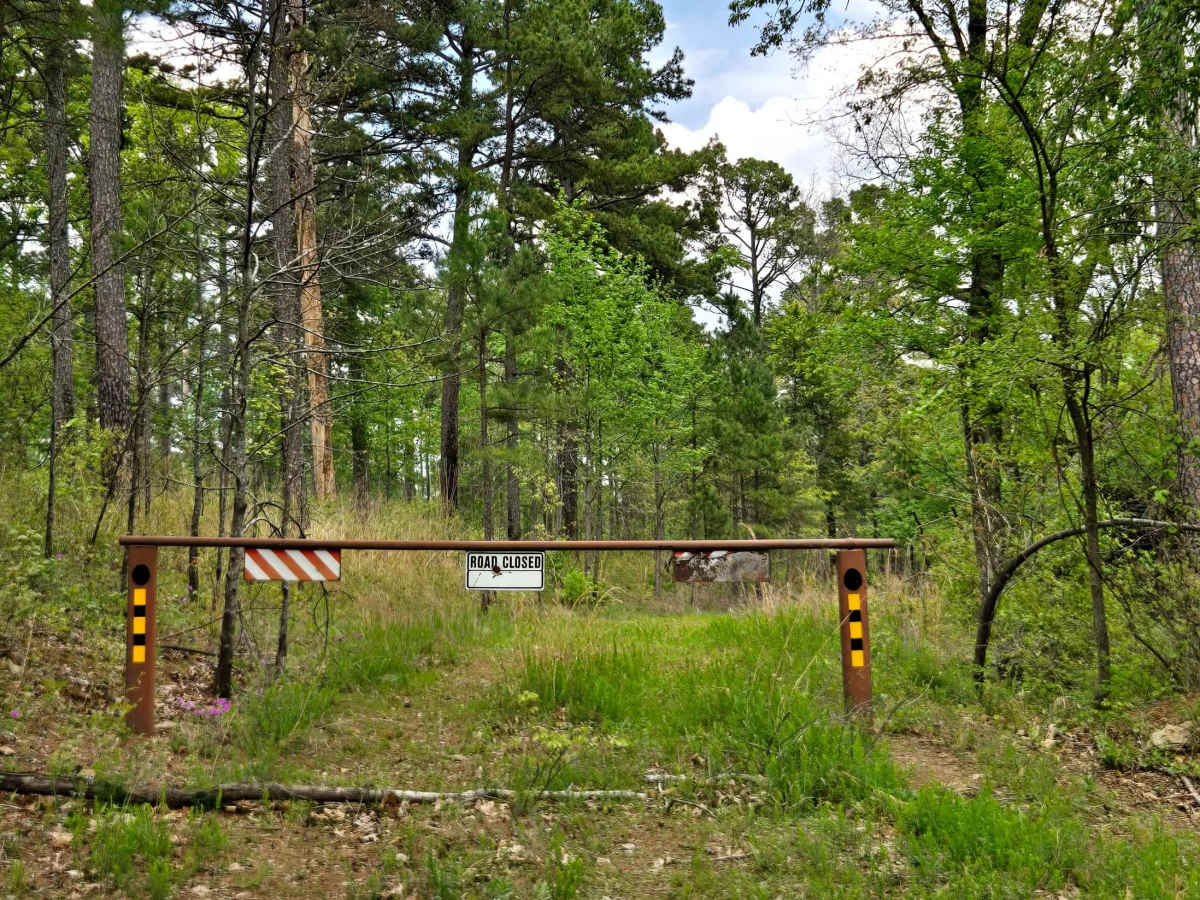 Jackson Ridge photo 3