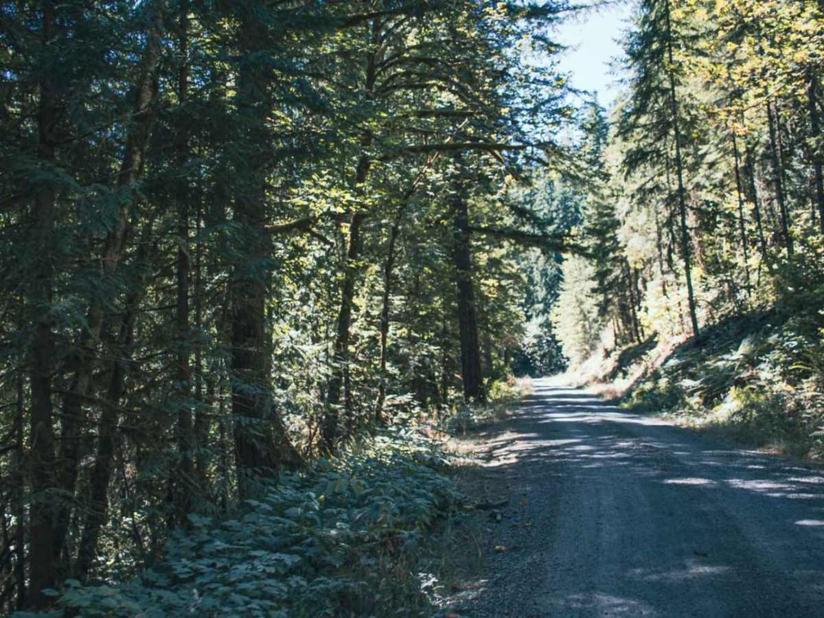 Goodman Creek photo 4