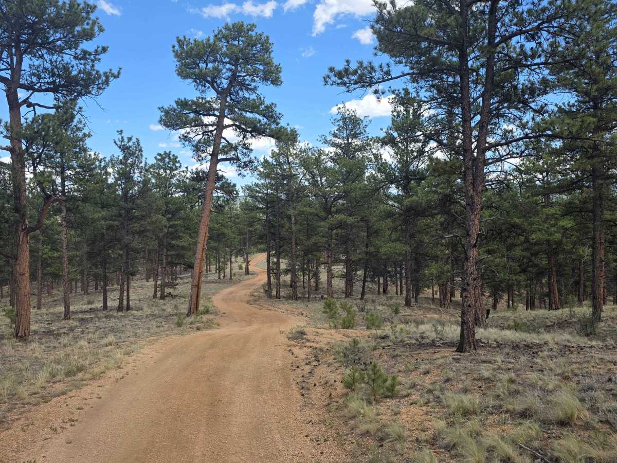 Fish Creek Road - FS 877 photo 6