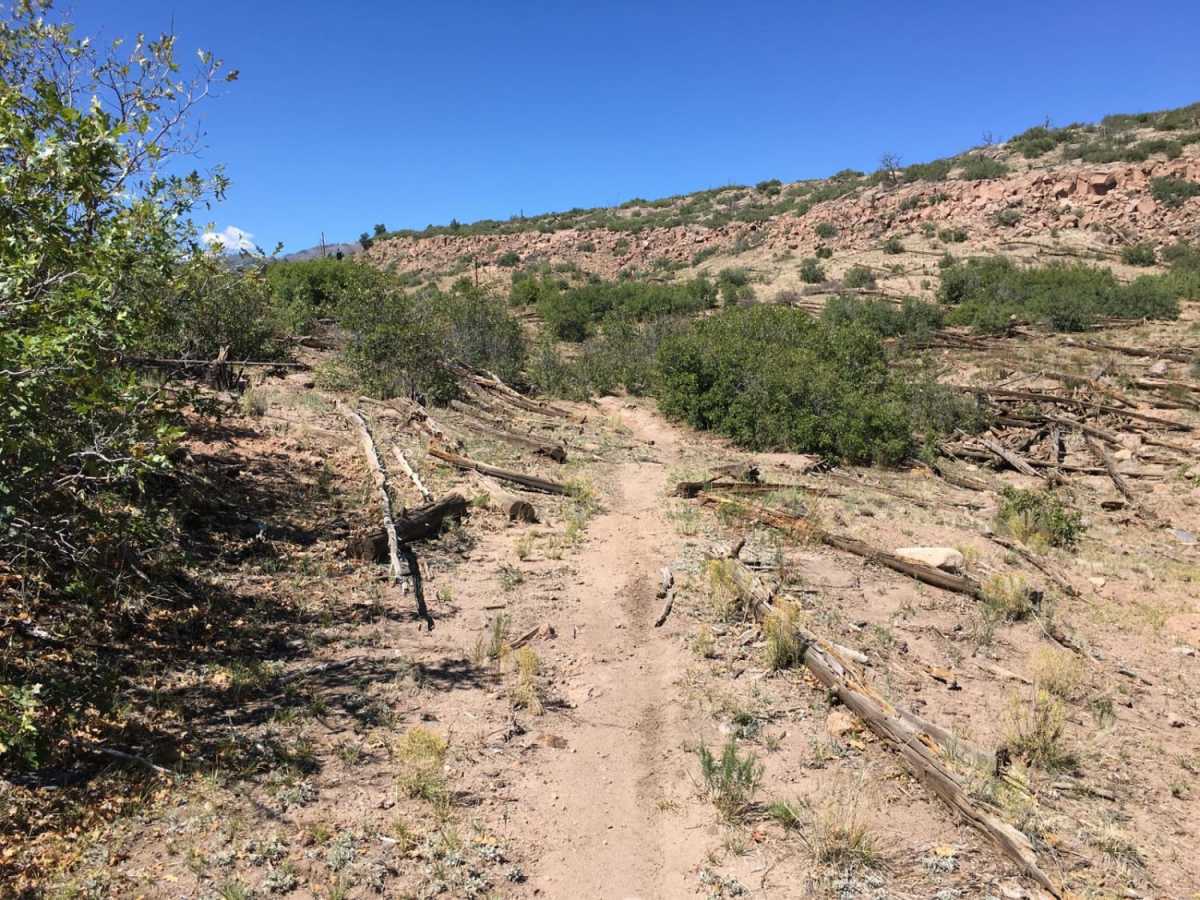 Chupaderos South Trail 822 aka Around the Mountain photo 4