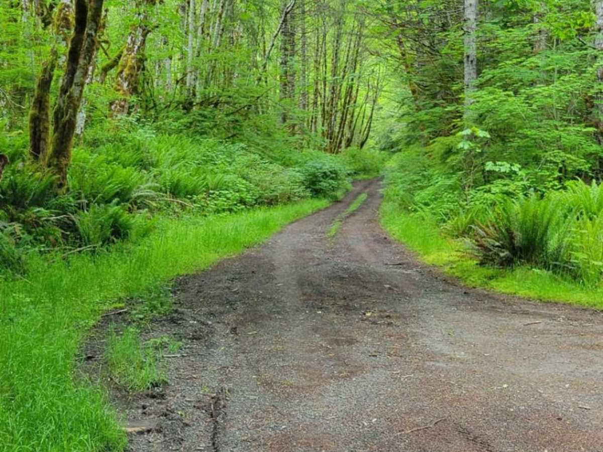 Kugel Creek photo 2