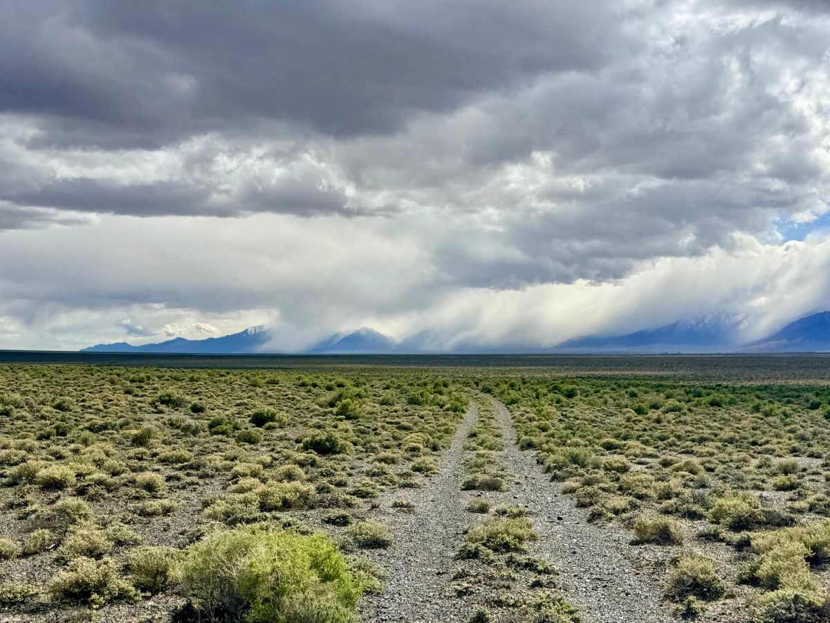 Lower Canyon Cutover Trail - BLM 288 trail photo