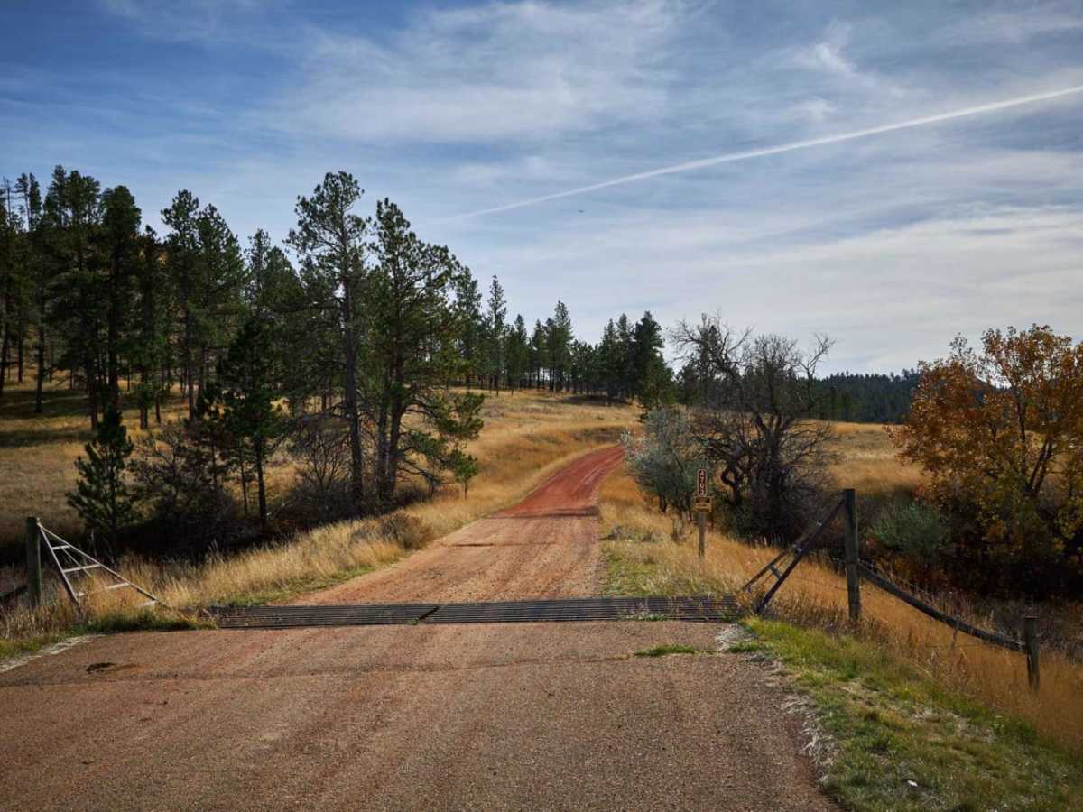 Lemonade Road Part 1 trail photo