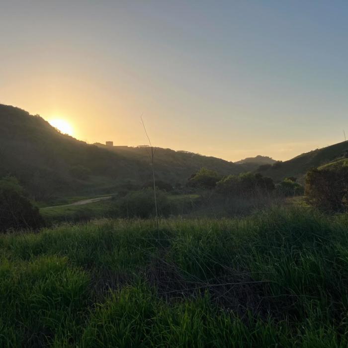 Near Telegraph/South Ridge Loop Near Telegraph/South Ridge Loop