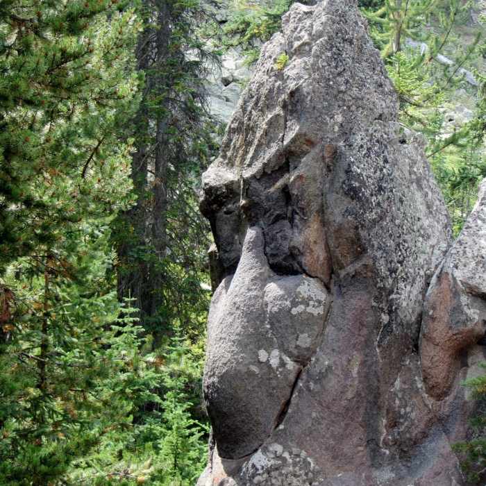 Turtle Rock - the site of the 1908 stagecoach holdup, the largest in history. The bandit, who was never caught, robbed 17 stagecoaches, one after the other, taking more than $2,000 from 174 Yellowstone tourists. Near Spring Creek Trail