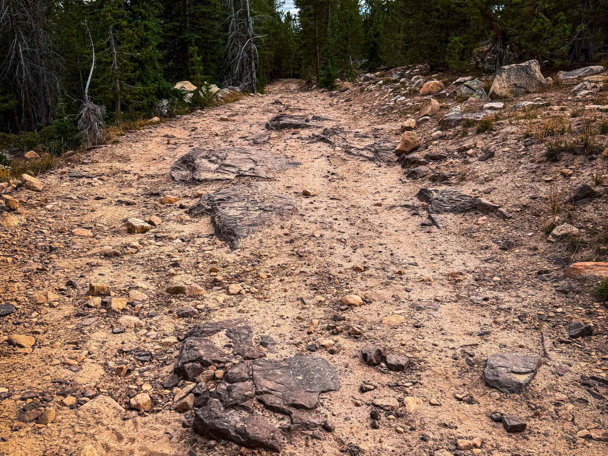 Echo Lake Trail photo 5