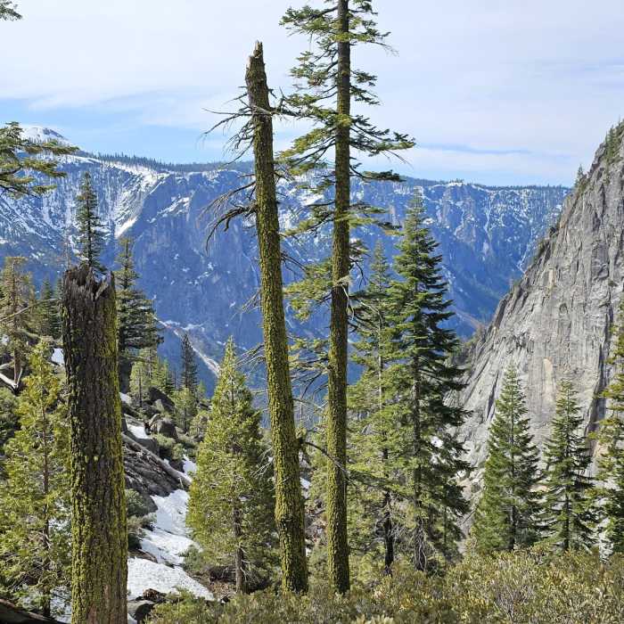 Near El Capitan to Upper Yosemite Falls