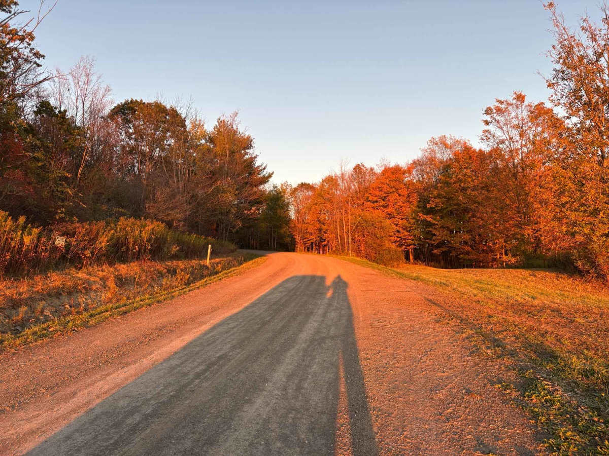 Cook School Road photo 2