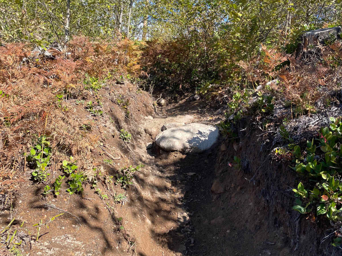 Hydro Option trail photo