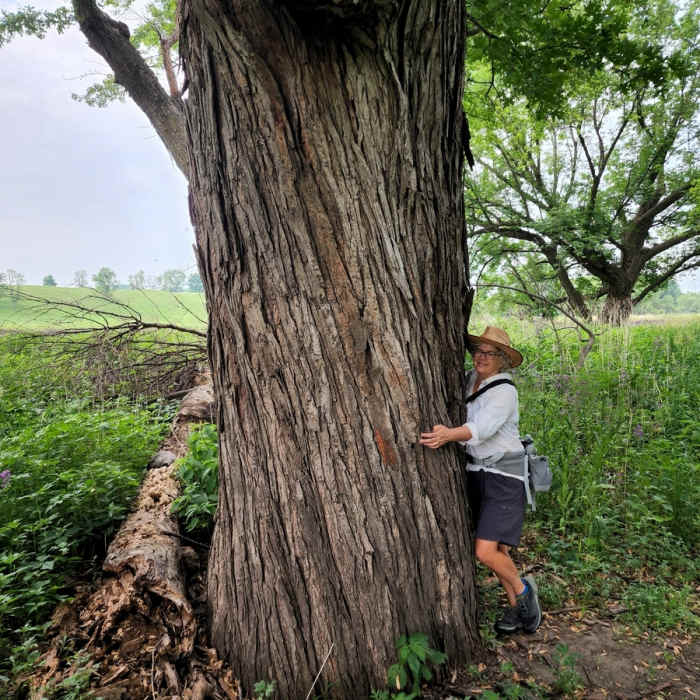Near River View Loop Trail