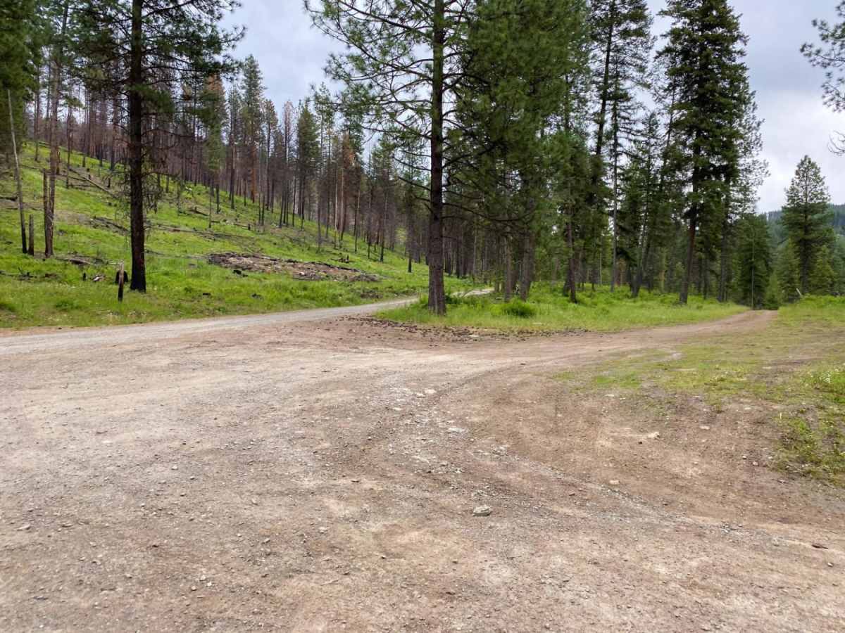 Sheep Creek trail photo