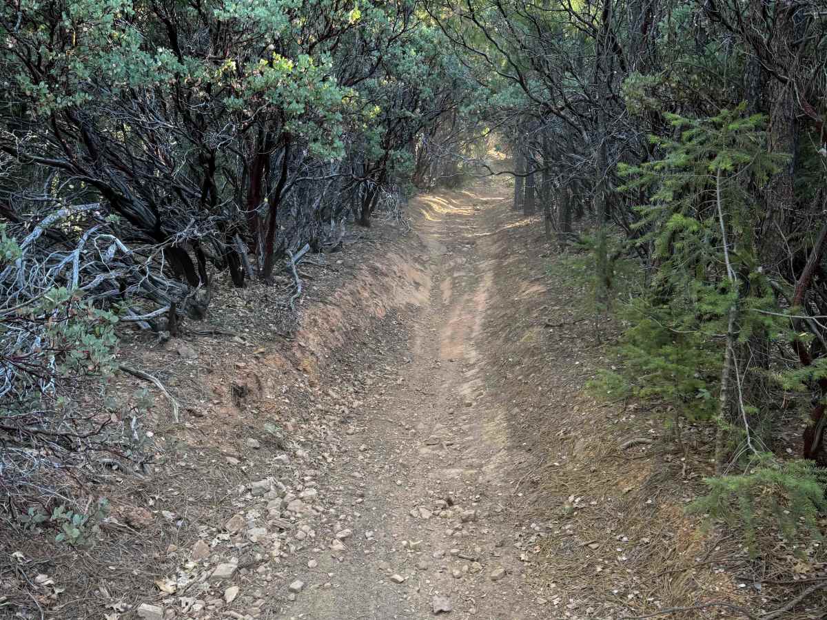 Trail 4-1 (11E35)  trail photo