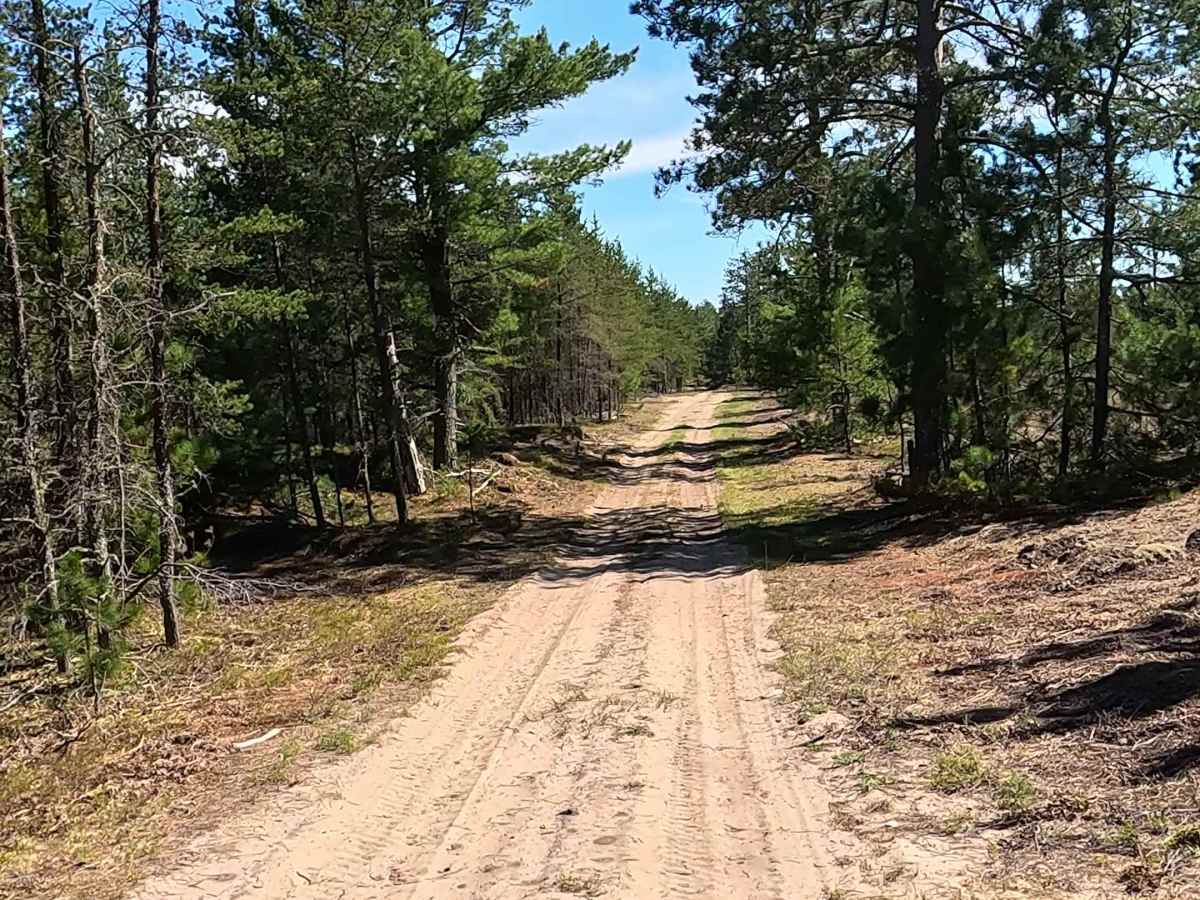 North Andrus Lake Road photo 6