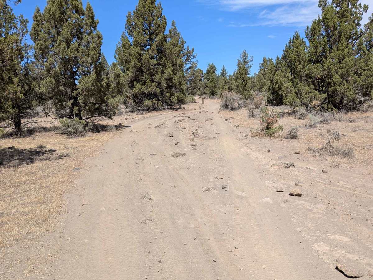 Cline Buttes OHV Trail 27 North trail photo