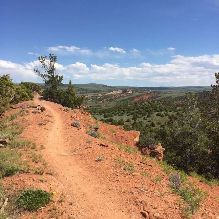 Near Red Ridge Trail