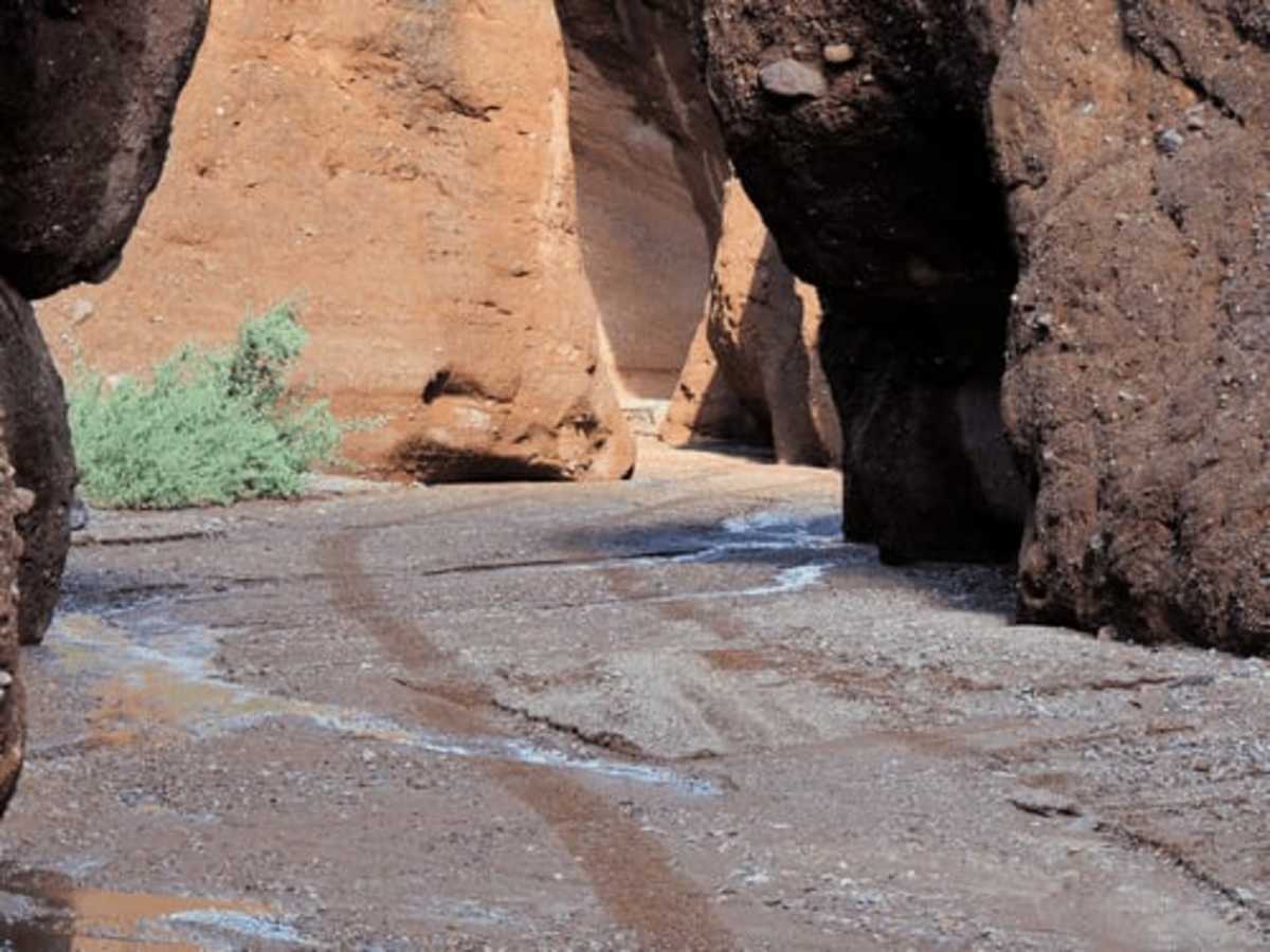 Maggie Slot Canyon photo 3