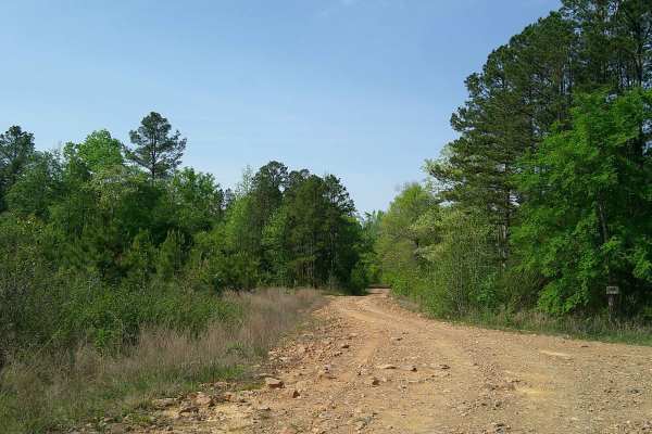 Bear Creek
