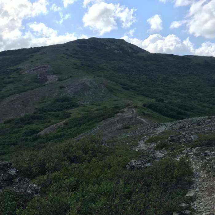 Near Antler Creek Near Antler Creek