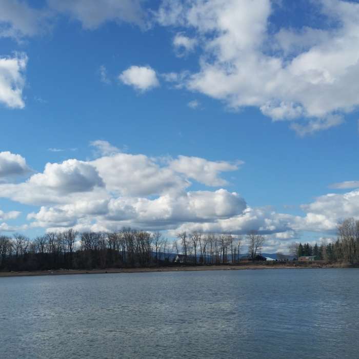 Kelly Point Park Near Kelly Point Park Trail