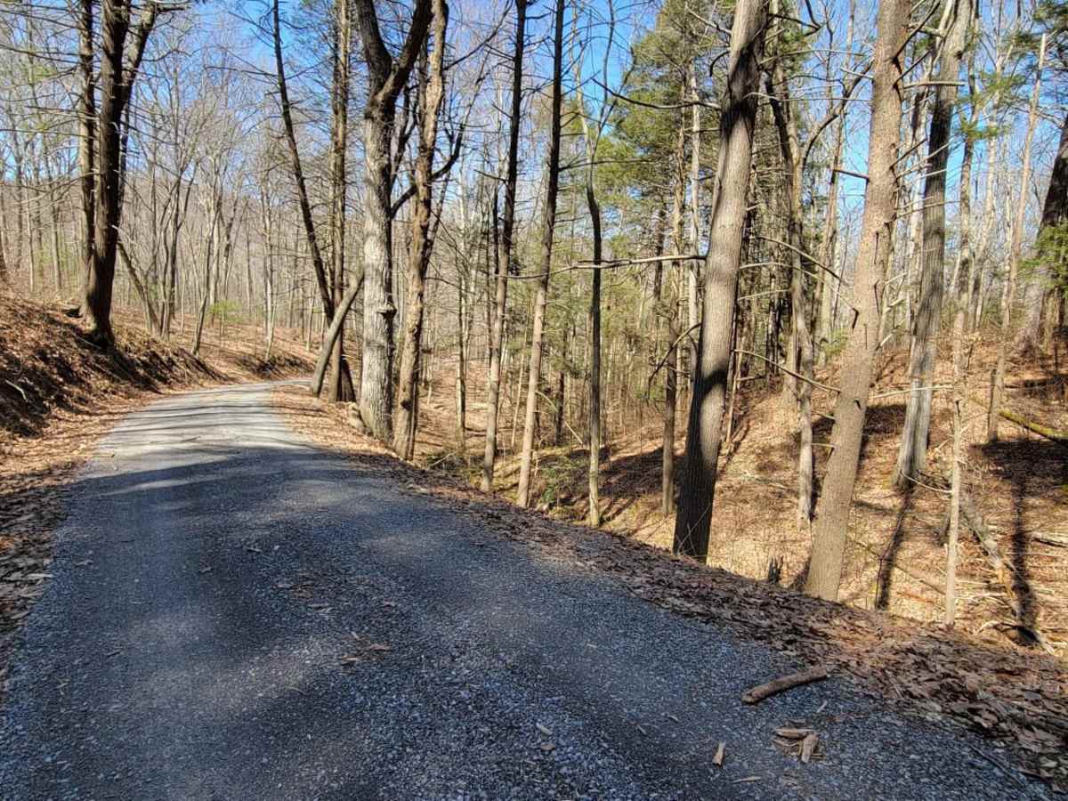 Little Knob trail photo