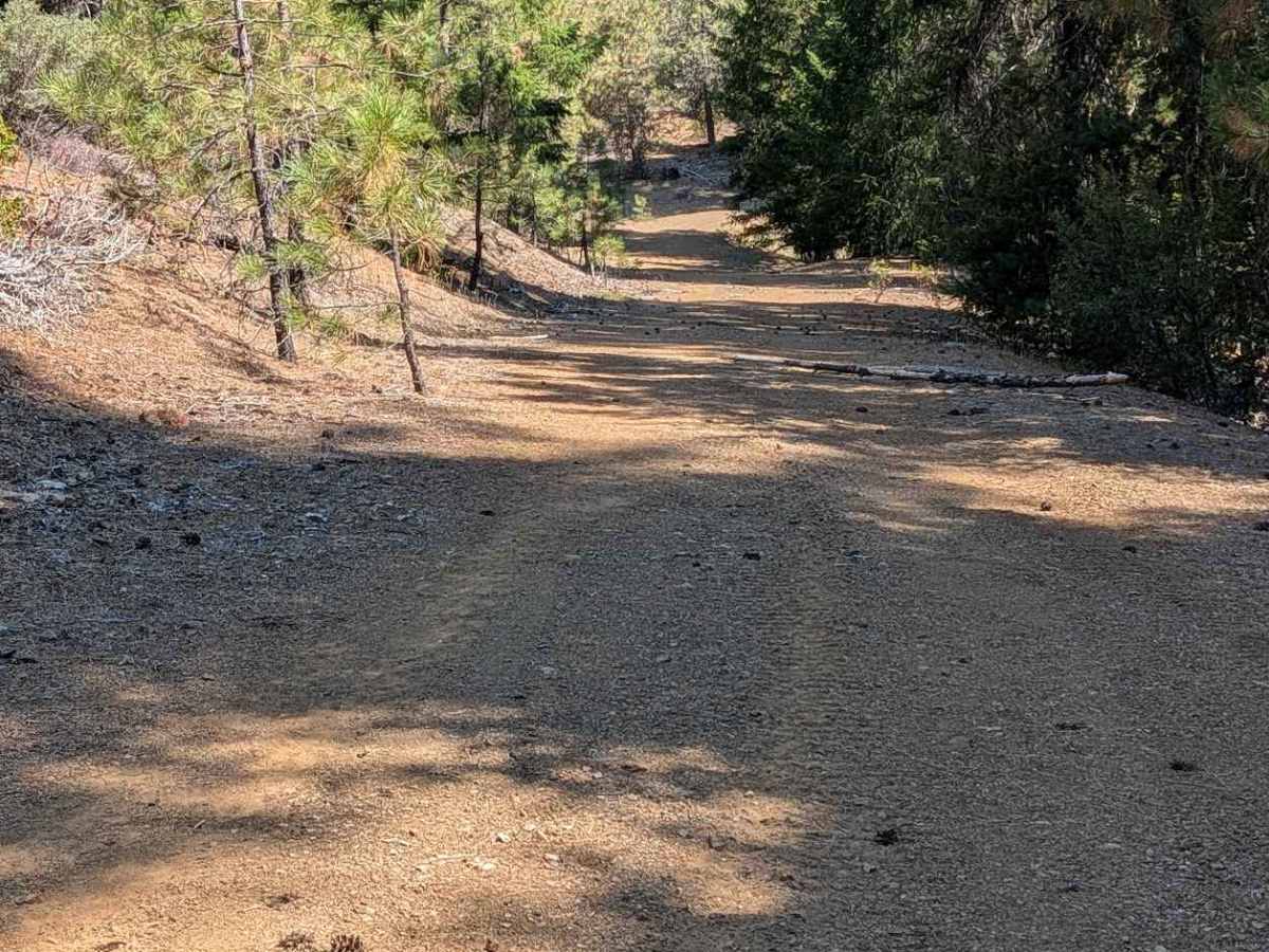 Plumb Road - FS 1N26  photo 5