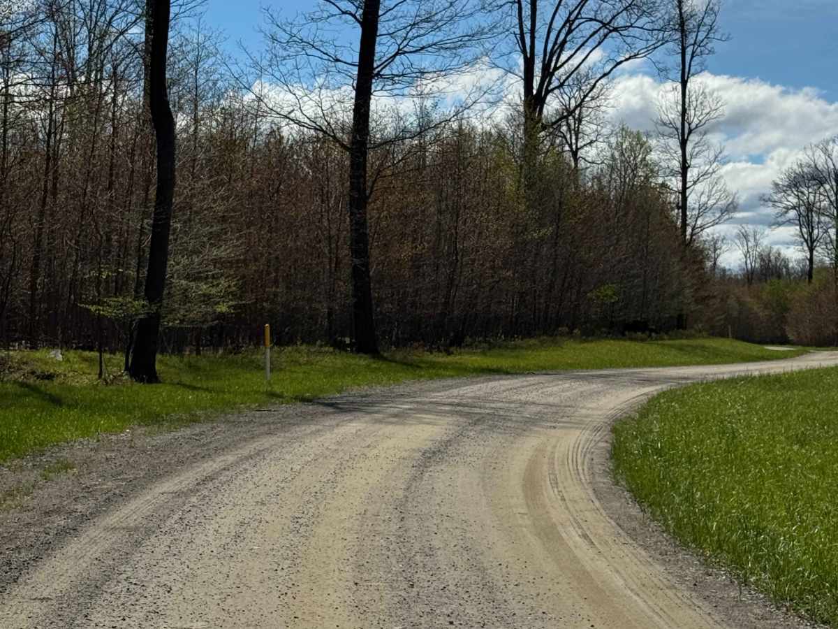 Stone Run Road photo 6
