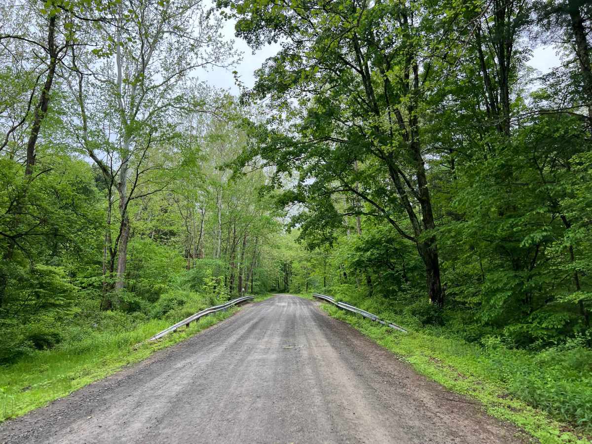 Ogdonia Road trail photo