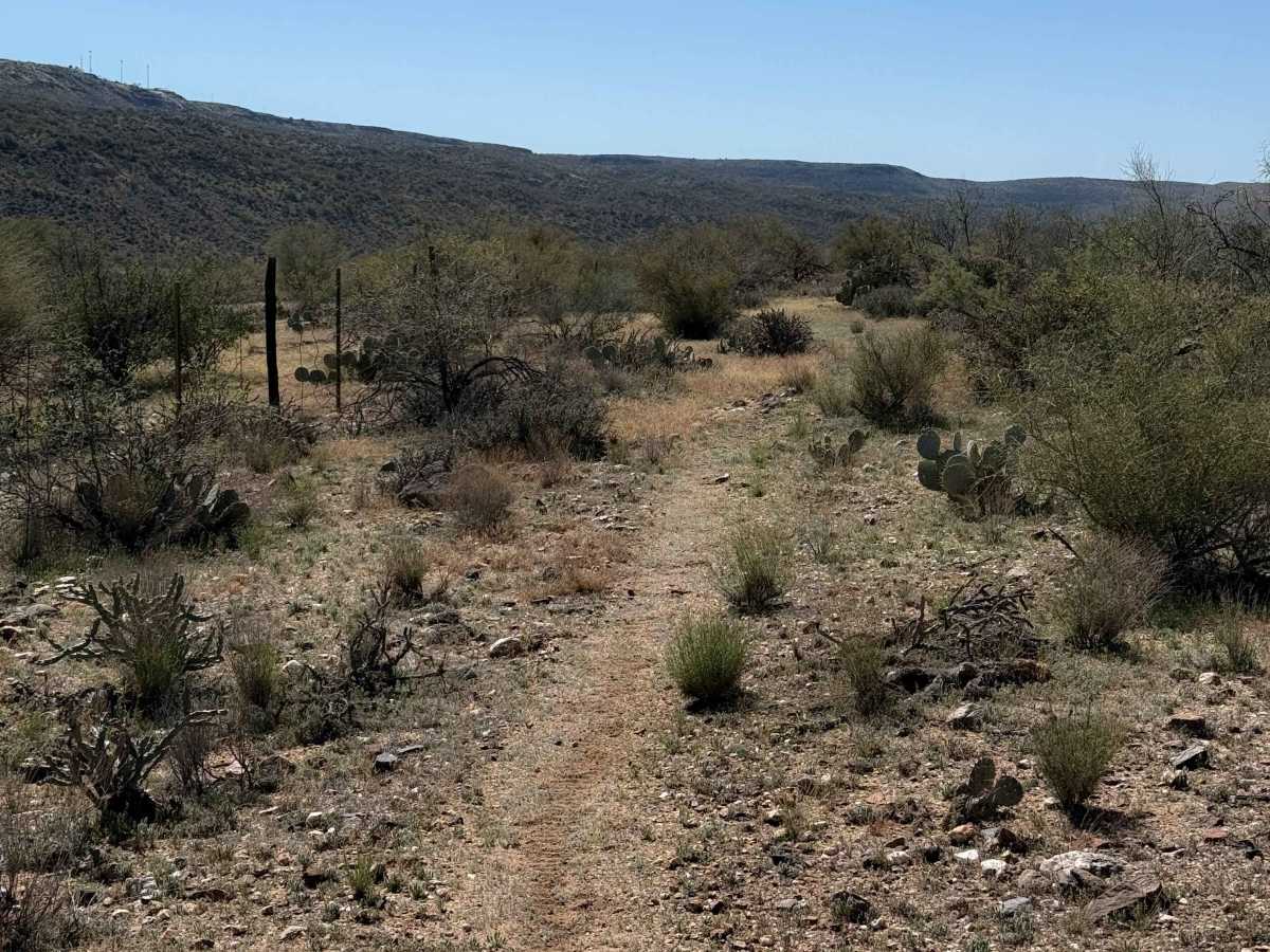 Bc1161 trail photo