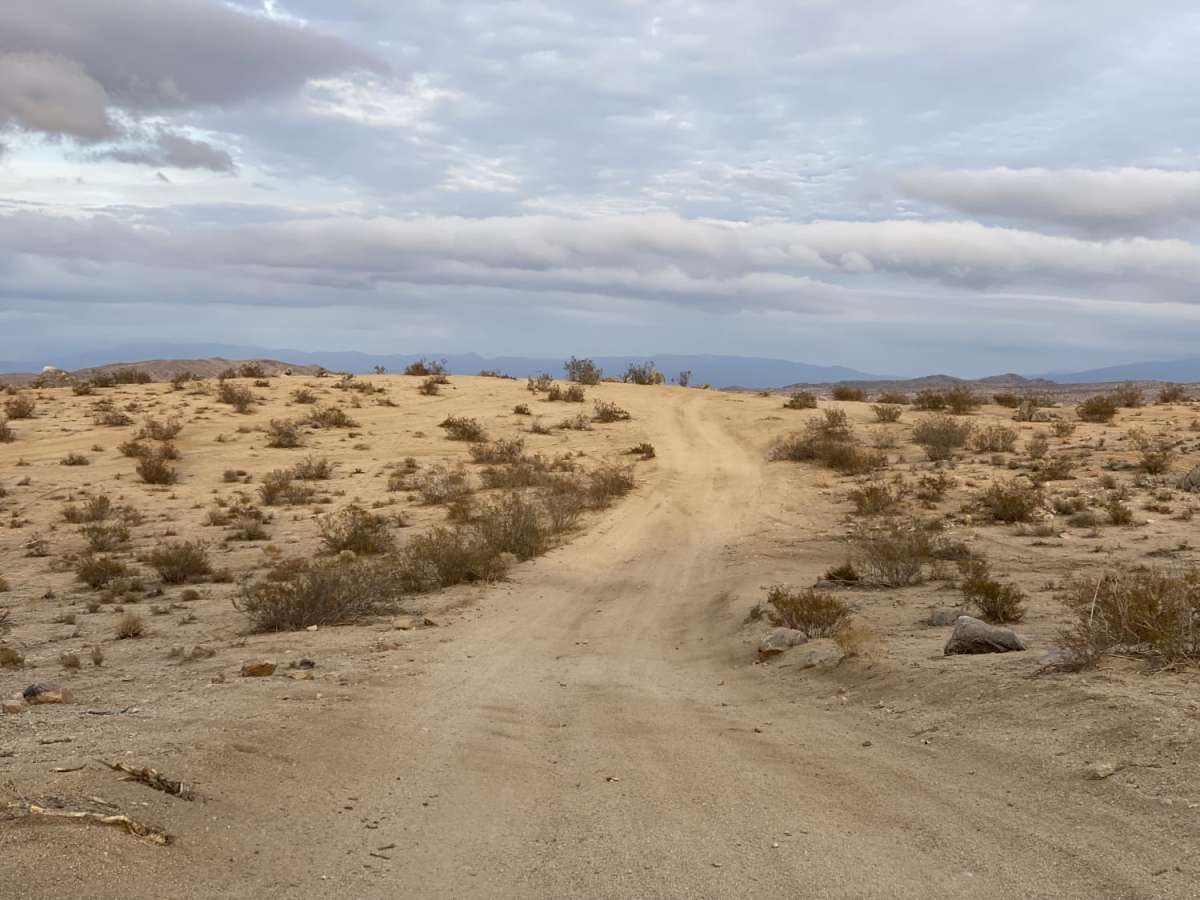 Boundary Circle 1 trail photo