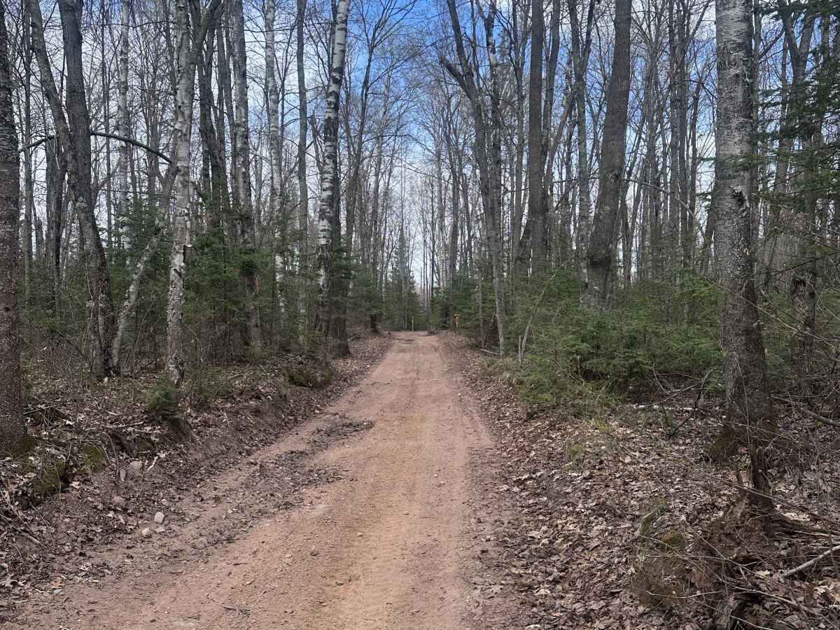 Yellow Birch Trail photo 2