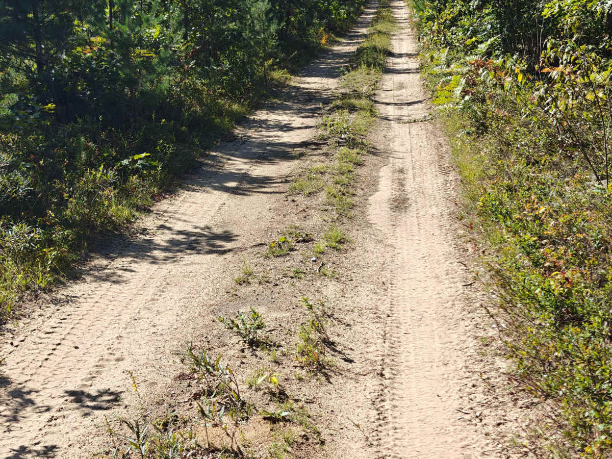 South Townline Road photo 5