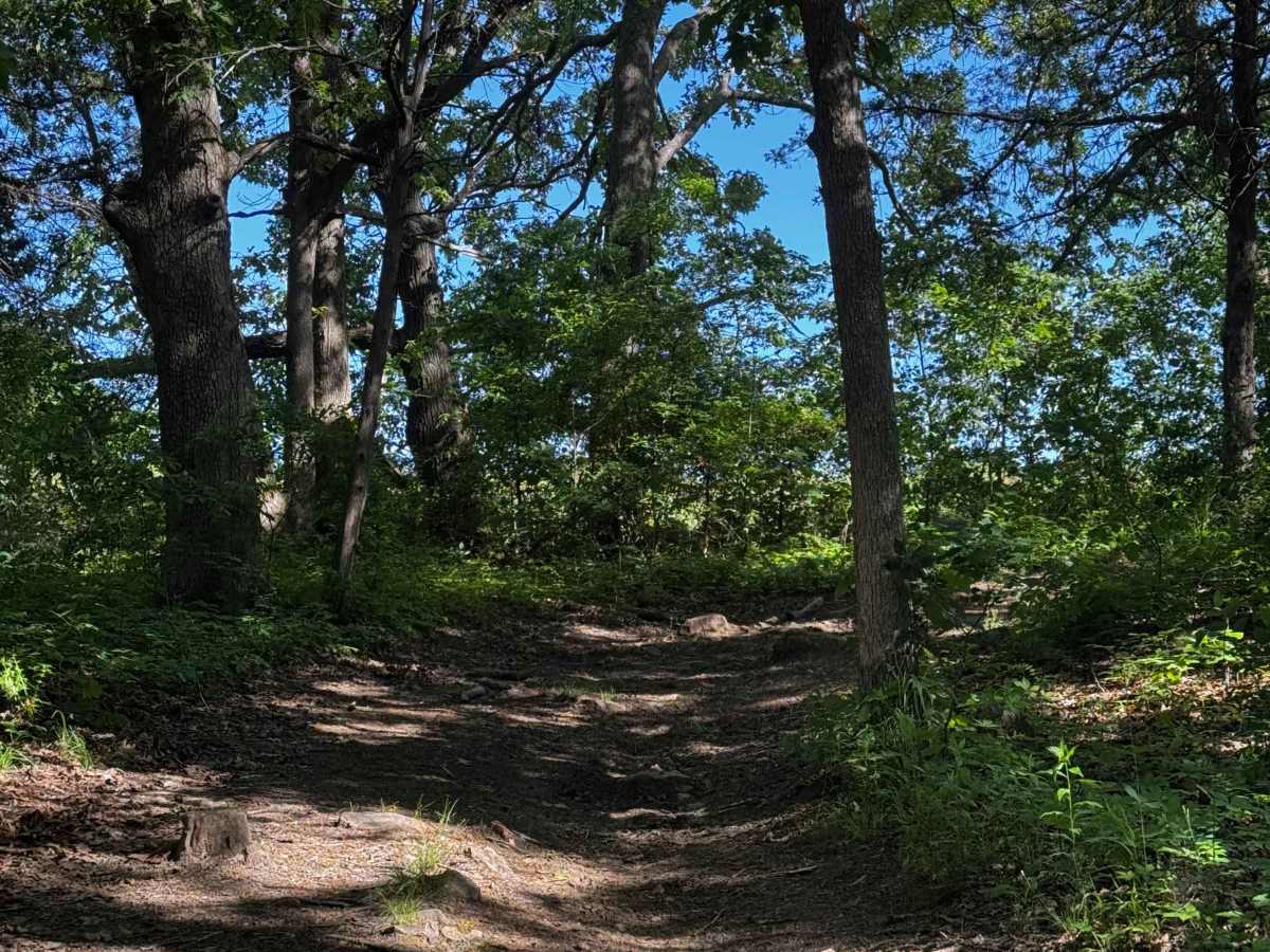 Inner Trail 14 photo 4