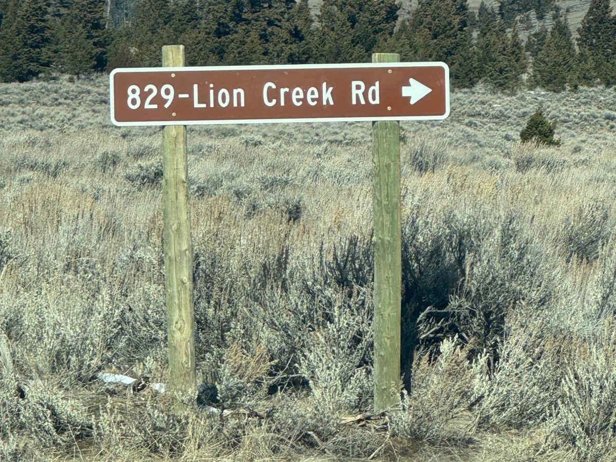 Jamison Creek photo 3