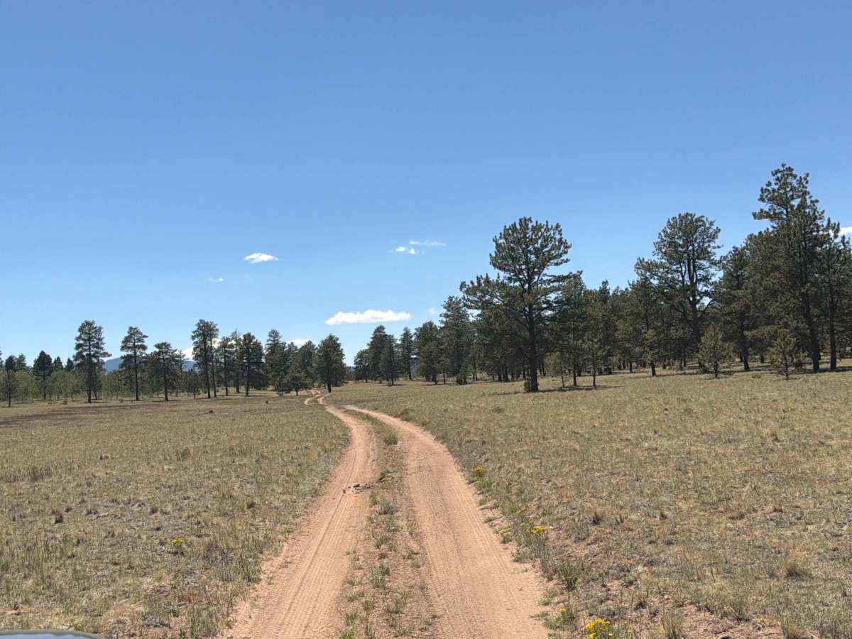 Wiggler Loop Road - FS 243.1B photo 3
