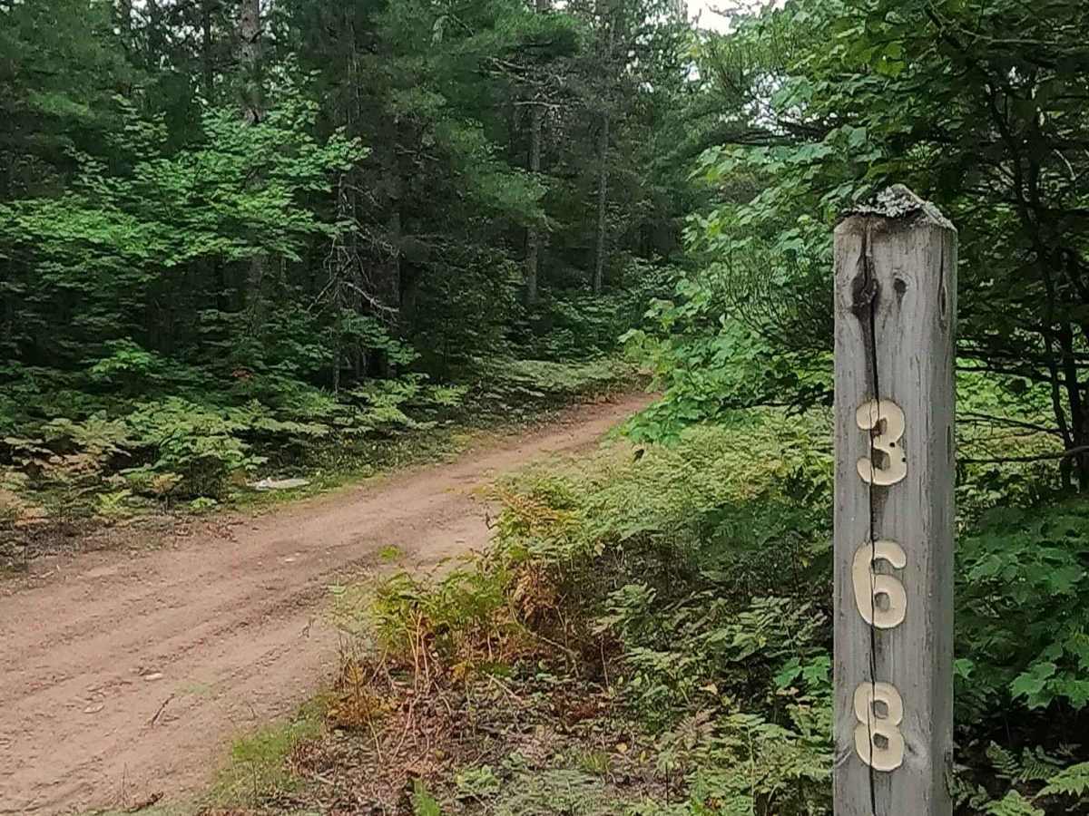 Unicorn - FS 3631 trail photo