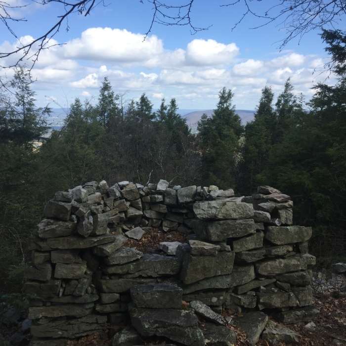 Near Musser/Shingletown Loop