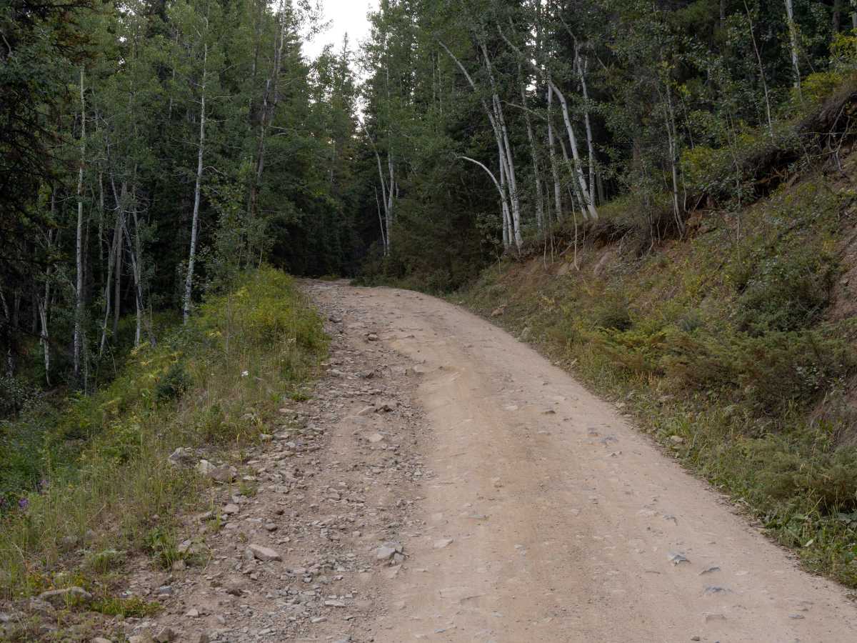 Shrine Pass photo 5