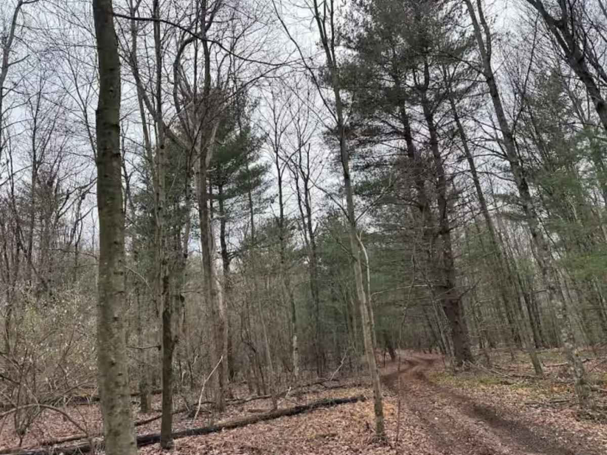 Holly Ave Outer Loop photo 3