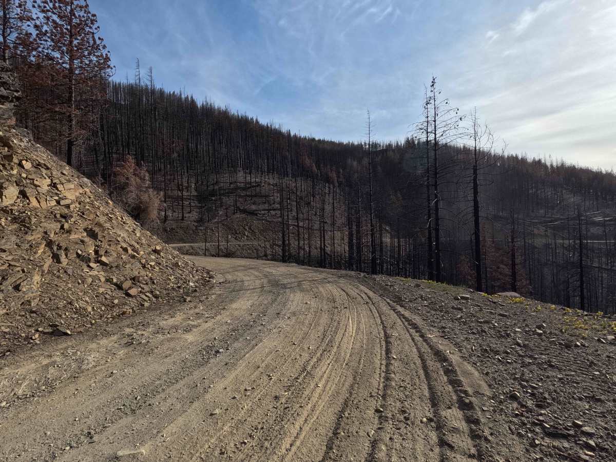 Tillicum Road - FS 58 photo 2
